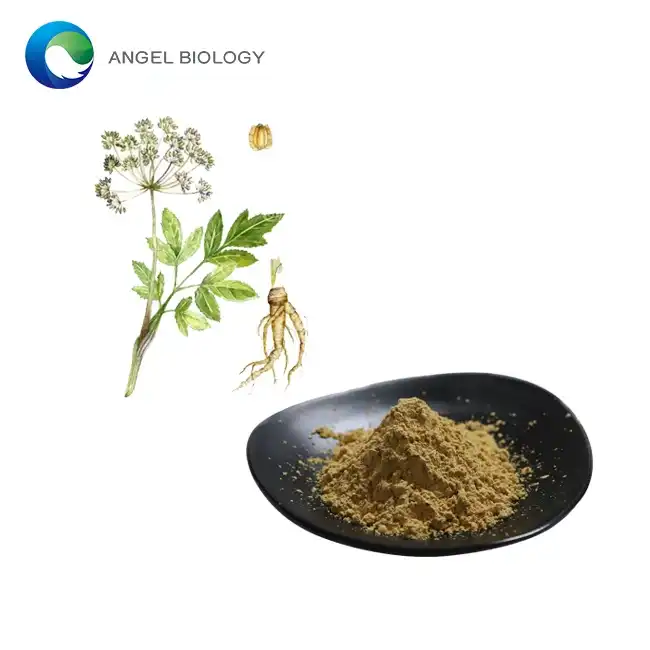 Angelica Extract Powder: Anti-Inflammatory Properties?